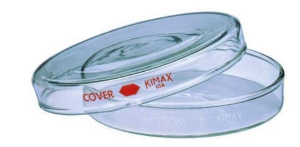 PLACA PETRI VIDRIO 100X20MM KIMAX KIMBLE UN 10020