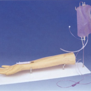 BRAZO PUNCION 115X80X500MM ANATOMY UN