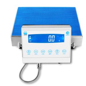 BALANZA DE PRECISIÓN DNE30001 0,1G/30KG