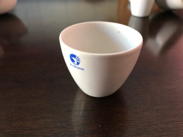 CRISOLES DE PORCELANA FORMA MEDIA